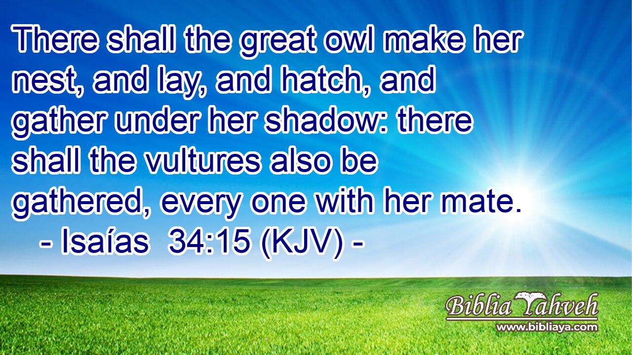 There shall the great owl make her nest, and lay, and hatch, and gather under her shadow: there shall the vultures also be gathered, every one with her mate.