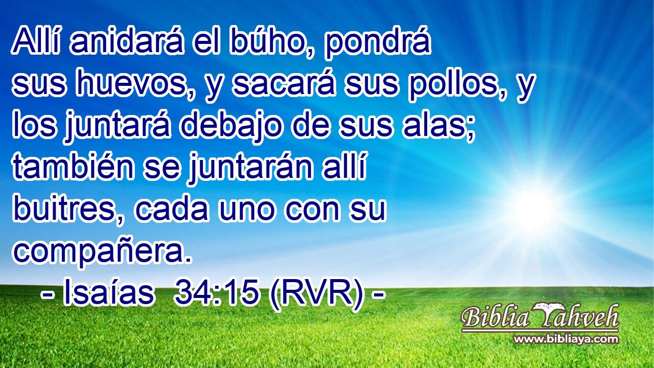 Allí anidará el búho, pondrá sus huevos, y sacará sus pollos, y los juntará debajo de sus alas; también se juntarán allí buitres, cada uno con su compañera.