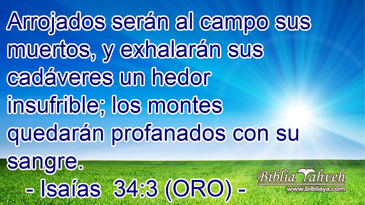  Arrojados serán al campo sus muertos, y exhalarán sus cadáveres un hedor insufrible; los montes quedarán profanados con su sangre. 