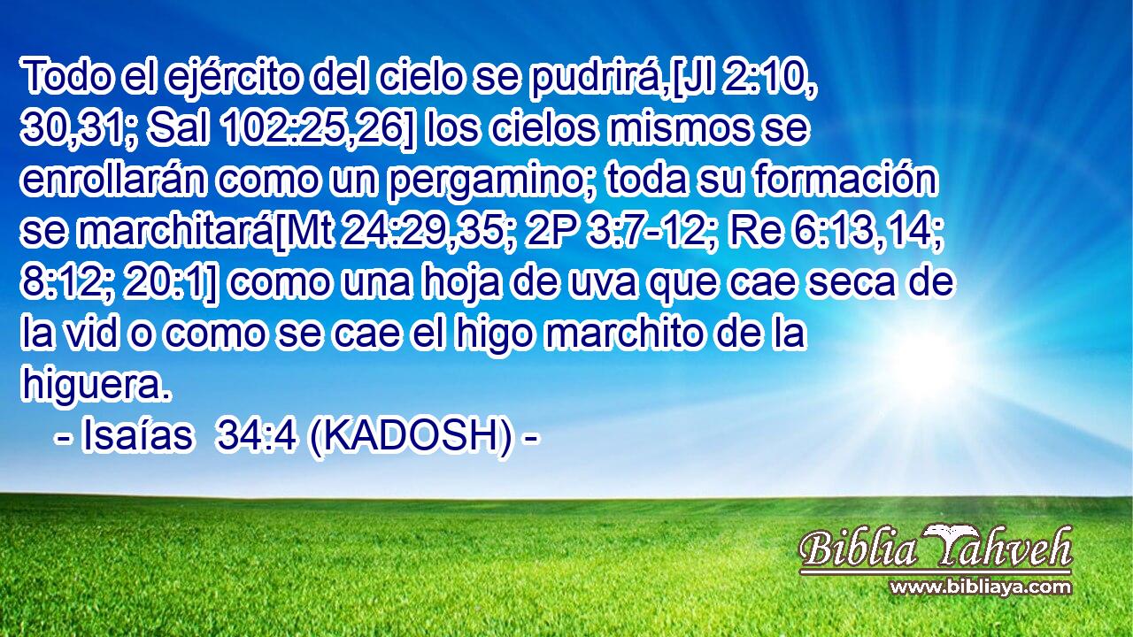  Todo el ejército del cielo se pudrirá,[Jl 2:10, 30,31; Sal 102:25,26] los cielos mismos se enrollarán como un pergamino; toda su formación se marchitará[Mt 24:29,35; 2P 3:7-12; Re 6:13,14; 8:12; 20:1] como una hoja de uva que cae seca de la vid o como se cae el higo marchito de la higuera. 