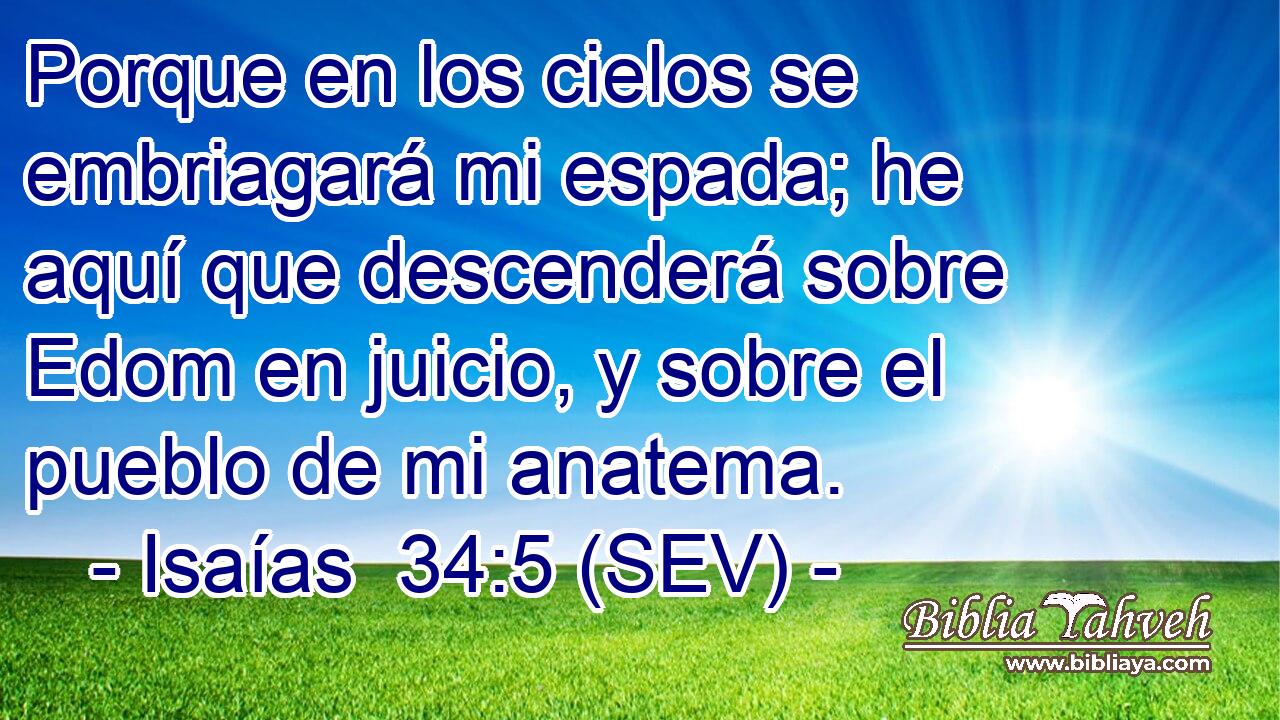 Porque en los cielos se embriagará mi espada; he aquí que descenderá sobre Edom en juicio, y sobre el pueblo de mi anatema.