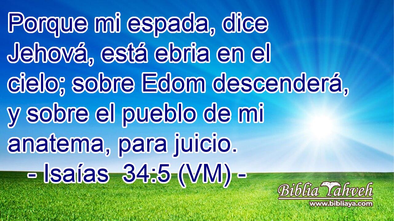  Porque mi espada, dice Jehová, está ebria en el cielo; sobre Edom descenderá, y sobre el pueblo de mi anatema, para juicio. 