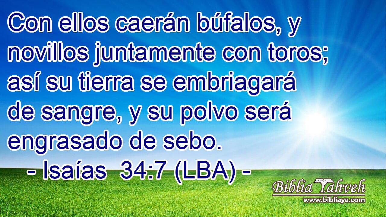 Con ellos caerán búfalos, y novillos juntamente con toros; así su tierra se embriagará de sangre, y su polvo será engrasado de sebo.