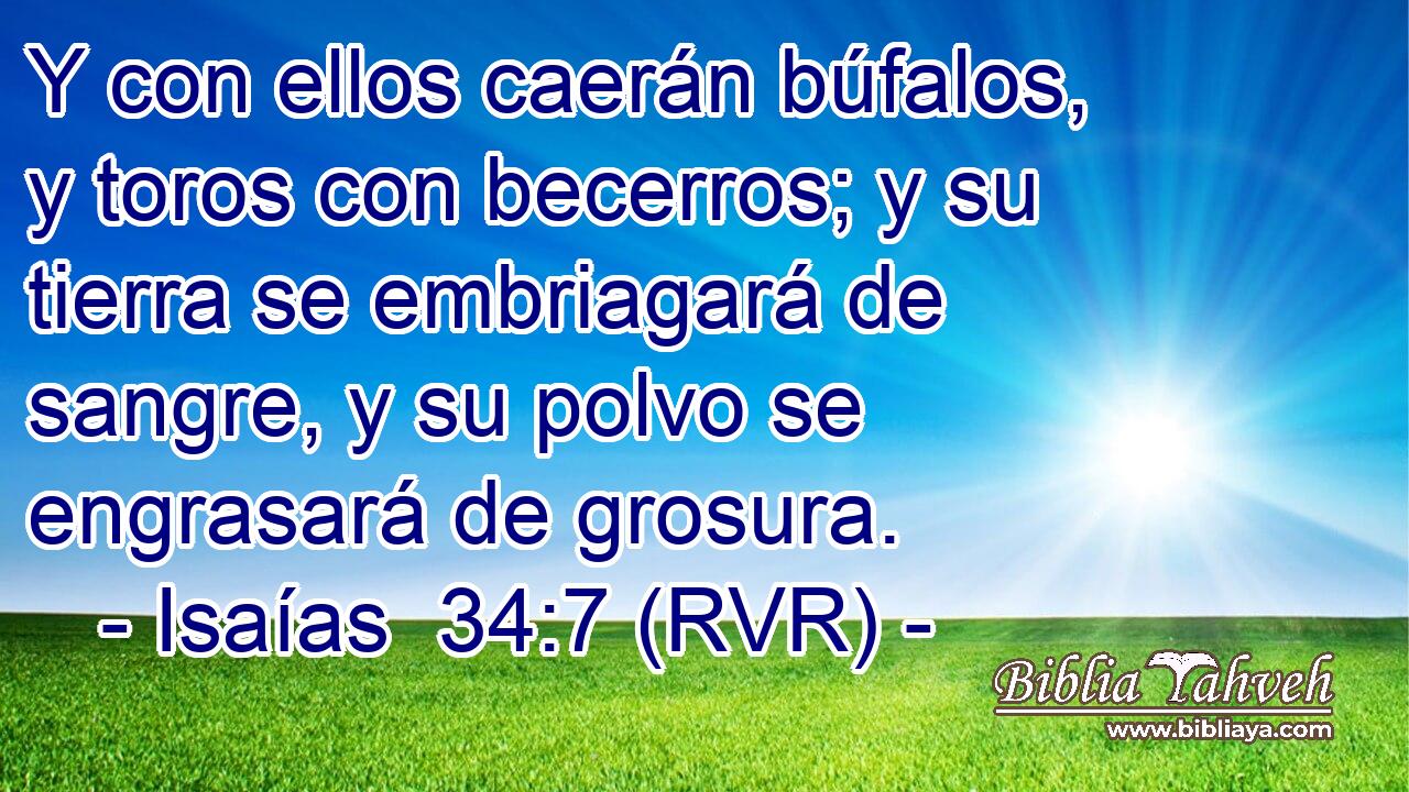 Y con ellos caerán búfalos, y toros con becerros; y su tierra se embriagará de sangre, y su polvo se engrasará de grosura.