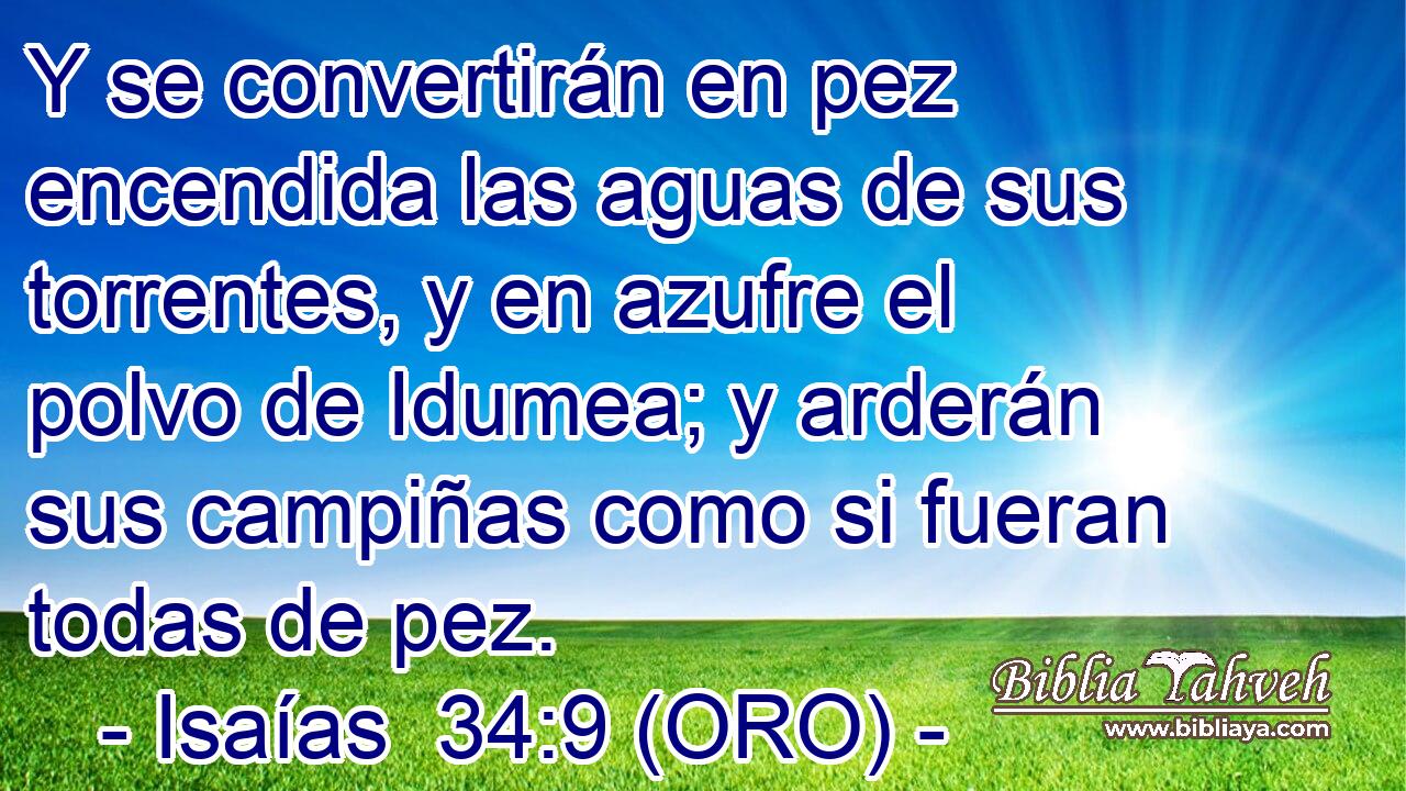  Y se convertirán en pez encendida las aguas de sus torrentes, y en azufre el polvo de Idumea; y arderán sus campiñas como si fueran todas de pez. 