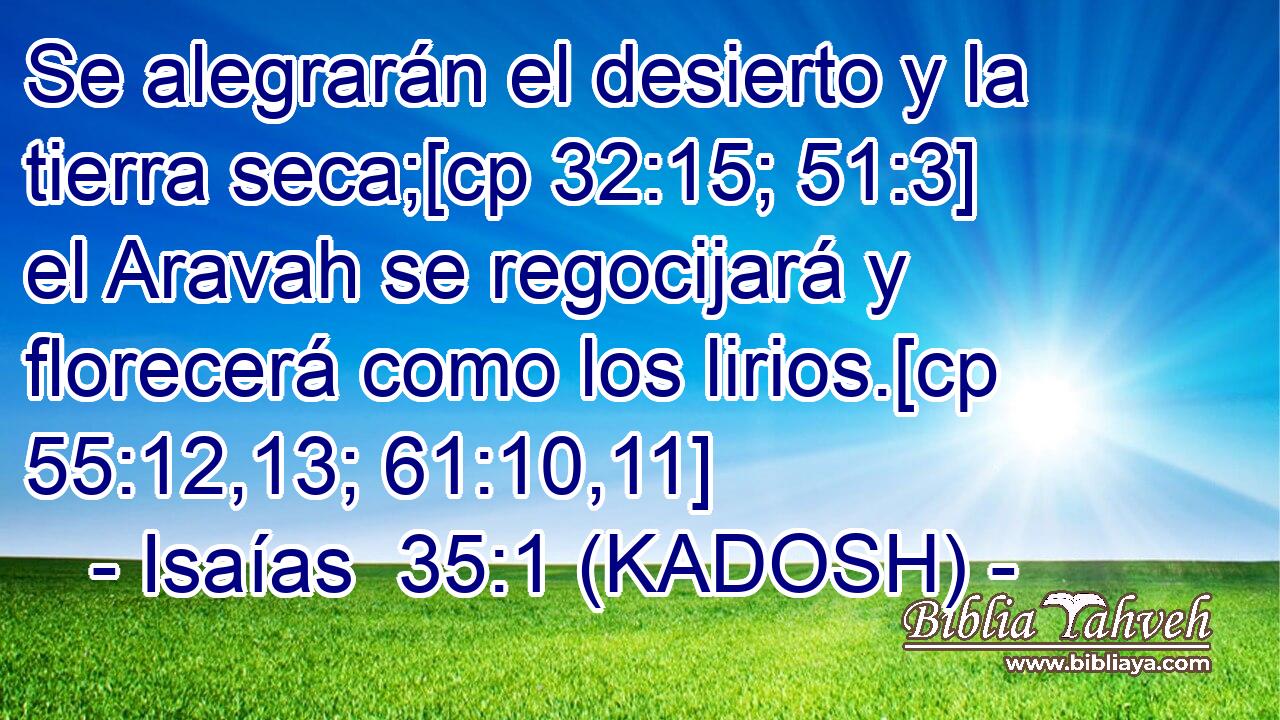  Se alegrarán el desierto y la tierra seca;[cp 32:15; 51:3] el Aravah se regocijará y florecerá como los lirios.[cp 55:12,13; 61:10,11] 