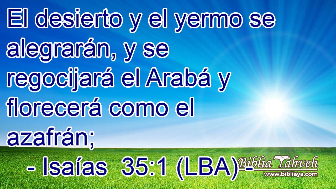El desierto y el yermo se alegrarán, y se regocijará el Arabá y florecerá como el azafrán;