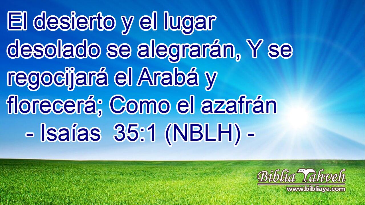  El desierto y el lugar desolado se alegrarán, Y se regocijará el Arabá y florecerá; Como el azafrán 