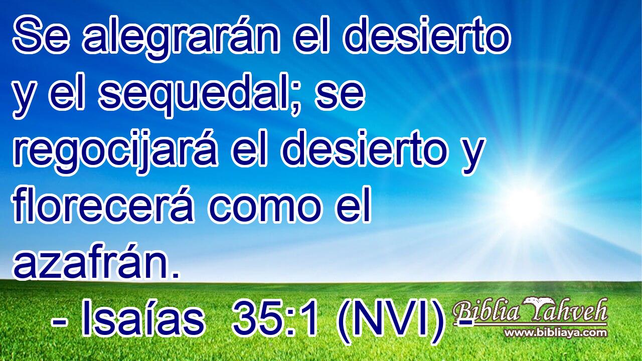  Se alegrarán el desierto y el sequedal; se regocijará el desierto y florecerá como el azafrán. 