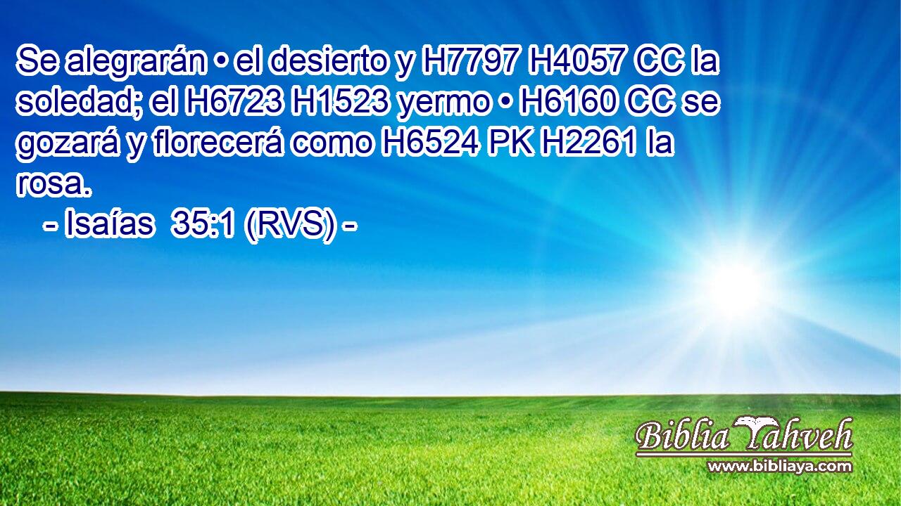 Se alegrarán • el desierto y H7797 H4057 CC la soledad; el H6723 H1523 yermo • H6160 CC se gozará y florecerá como H6524 PK H2261 la rosa. 