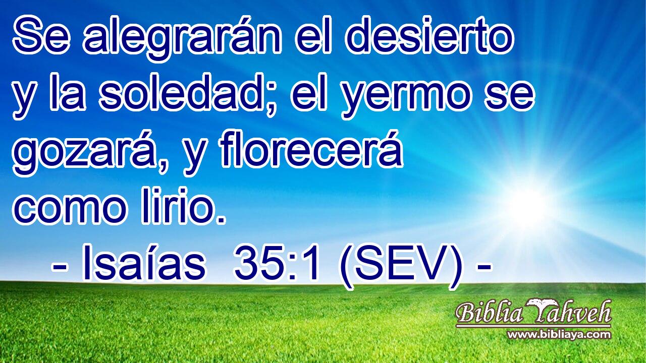 Se alegrarán el desierto y la soledad; el yermo se gozará, y florecerá como lirio.