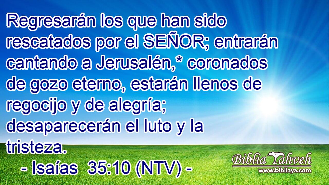 Regresarán los que han sido rescatados por el SEÑOR; entrarán cantando a Jerusalén,* coronados de gozo eterno, estarán llenos de regocijo y de alegría; desaparecerán el luto y la tristeza.
