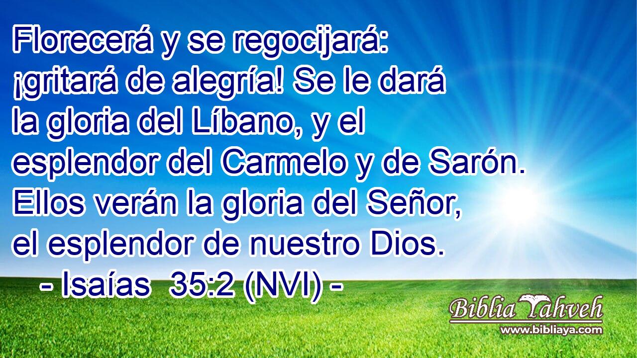  Florecerá y se regocijará: ¡gritará de alegría! Se le dará la gloria del Líbano, y el esplendor del Carmelo y de Sarón. Ellos verán la gloria del Señor, el esplendor de nuestro Dios. 
