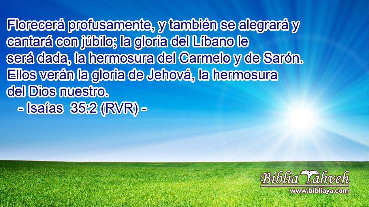 Florecerá profusamente, y también se alegrará y cantará con júbilo; la gloria del Líbano le será dada, la hermosura del Carmelo y de Sarón. Ellos verán la gloria de Jehová, la hermosura del Dios nuestro.