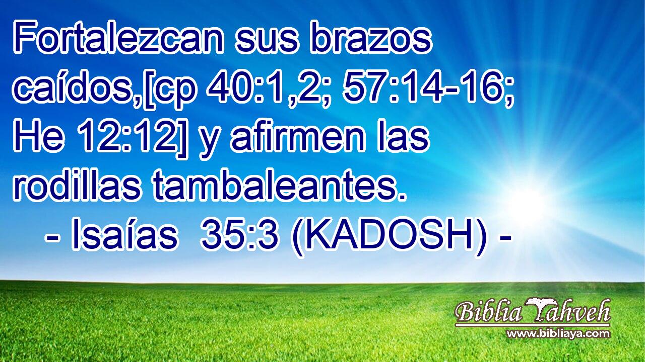  Fortalezcan sus brazos caídos,[cp 40:1,2; 57:14-16; He 12:12] y afirmen las rodillas tambaleantes. 