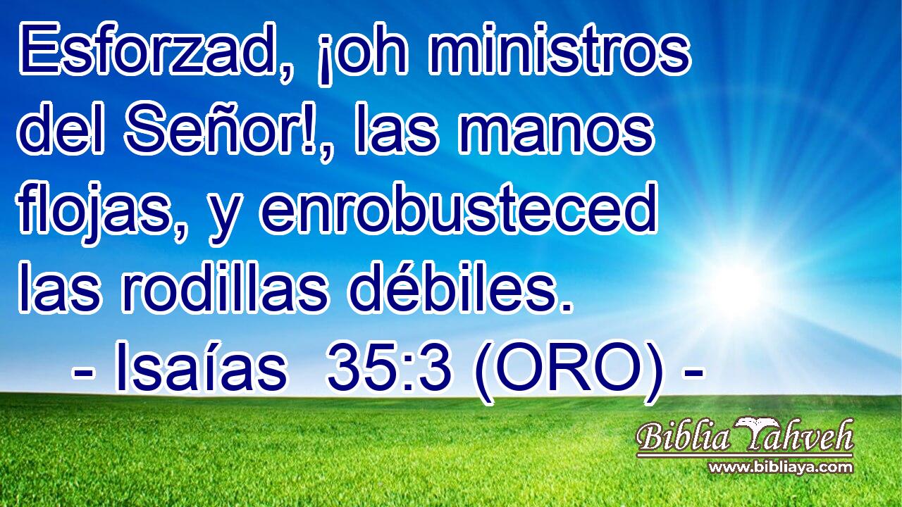  Esforzad, ¡oh ministros del Señor!, las manos flojas, y enrobusteced las rodillas débiles. 