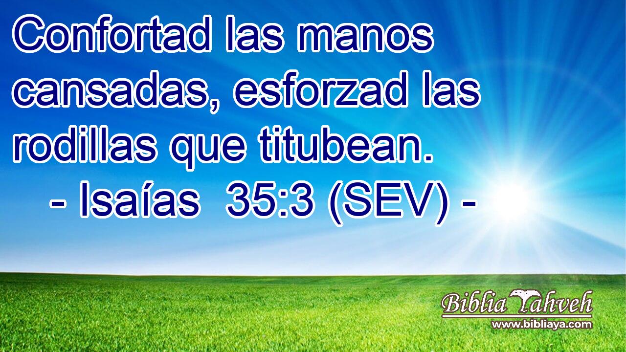 Confortad las manos cansadas, esforzad las rodillas que titubean.