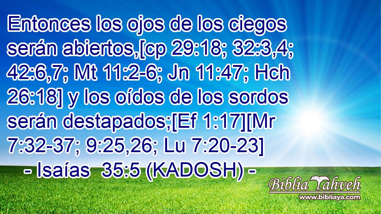  Entonces los ojos de los ciegos serán abiertos,[cp 29:18; 32:3,4; 42:6,7; Mt 11:2-6; Jn 11:47; Hch 26:18] y los oídos de los sordos serán destapados;[Ef 1:17][Mr 7:32-37; 9:25,26; Lu 7:20-23] 