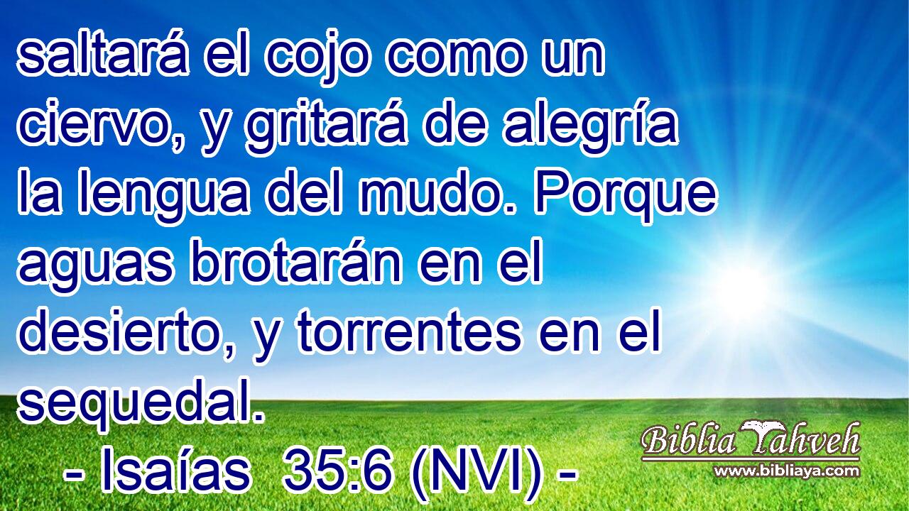  saltará el cojo como un ciervo, y gritará de alegría la lengua del mudo. Porque aguas brotarán en el desierto, y torrentes en el sequedal. 