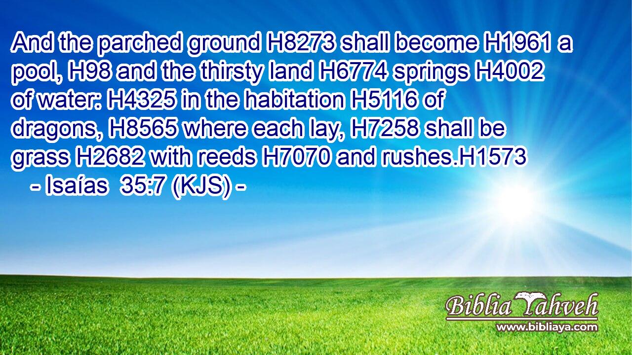 And the parched ground H8273 shall become H1961 a pool, H98 and the thirsty land H6774 springs H4002 of water: H4325 in the habitation H5116 of dragons, H8565 where each lay, H7258 shall be grass H2682 with reeds H7070 and rushes.H1573