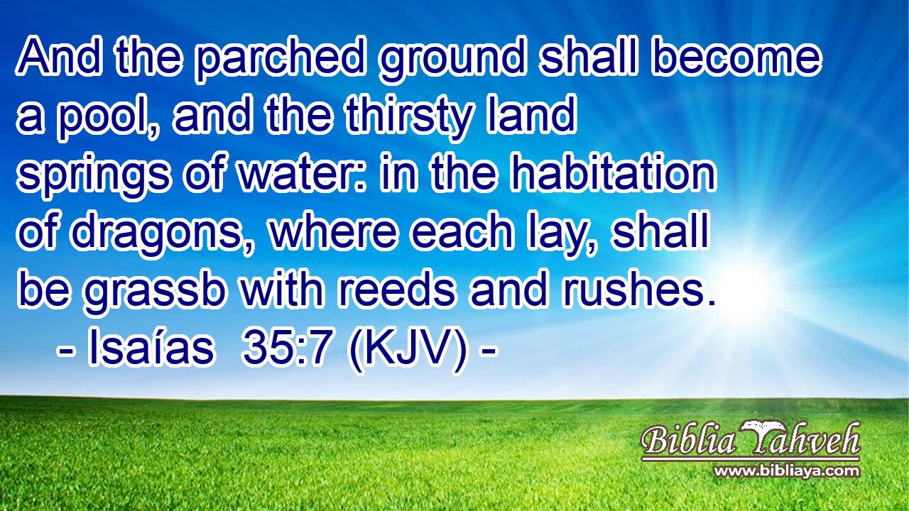 And the parched ground shall become a pool, and the thirsty land springs of water: in the habitation of dragons, where each lay, shall be grassb with reeds and rushes.