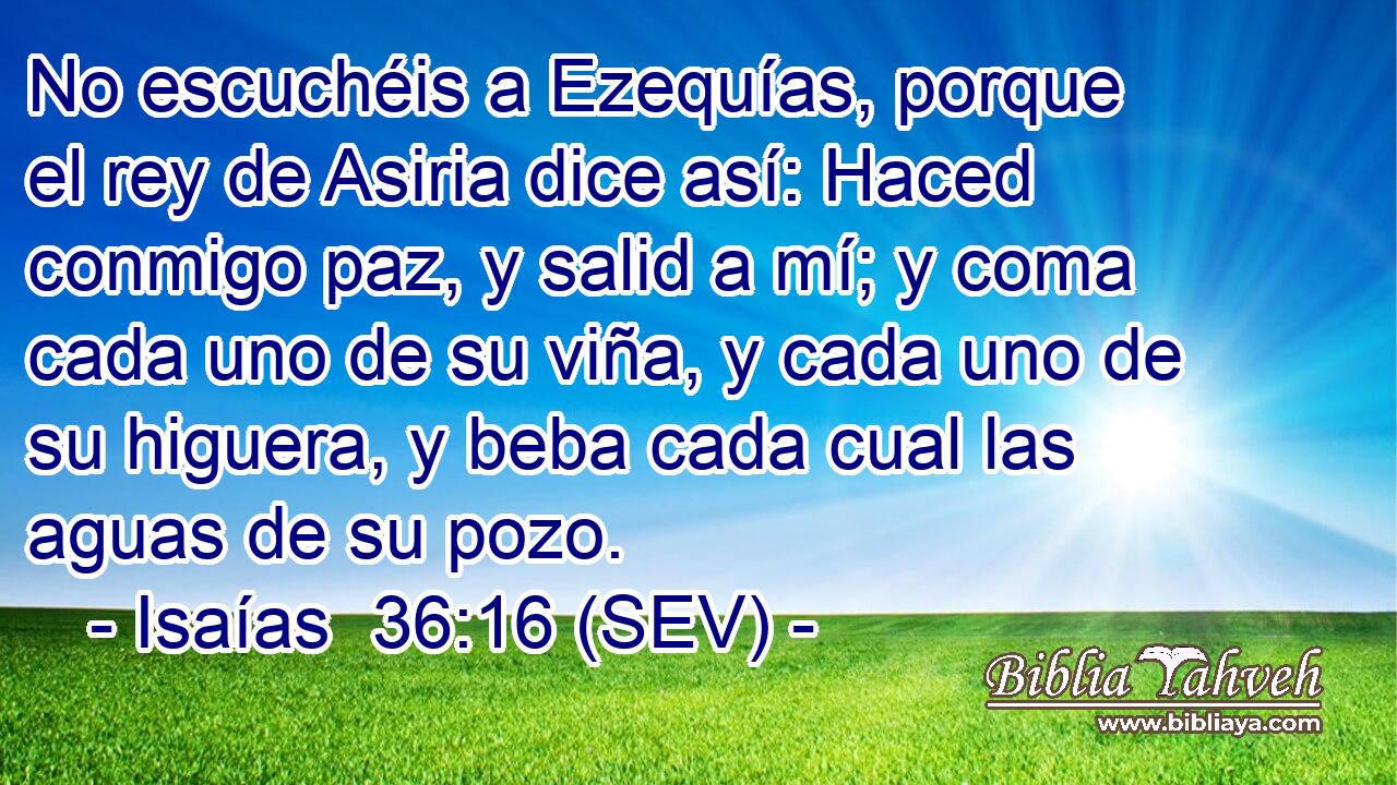 No escuchéis a Ezequías, porque el rey de Asiria dice así: Haced conmigo paz, y salid a mí; y coma cada uno de su viña, y cada uno de su higuera, y beba cada cual las aguas de su pozo.
