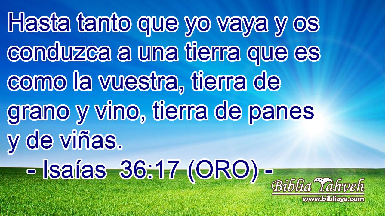  Hasta tanto que yo vaya y os conduzca a una tierra que es como la vuestra, tierra de grano y vino, tierra de panes y de viñas. 