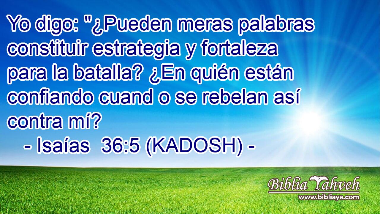  Yo digo: 