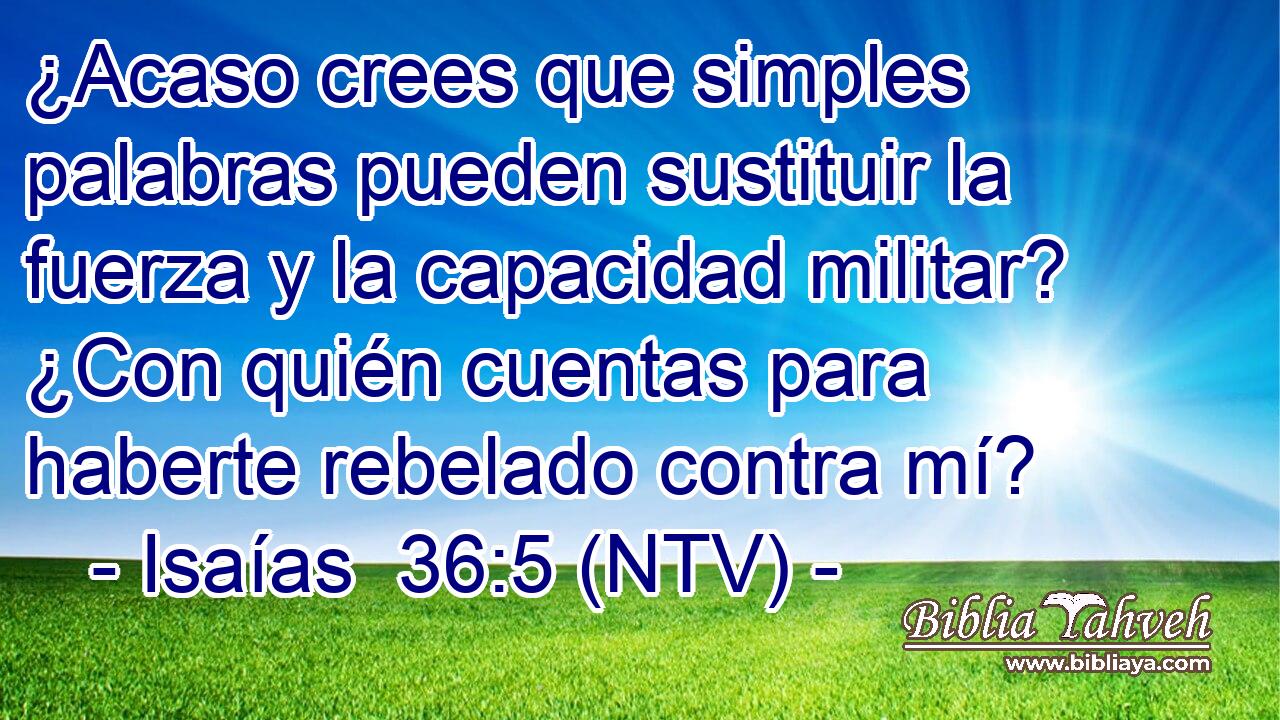 ¿Acaso crees que simples palabras pueden sustituir la fuerza y la capacidad militar? ¿Con quién cuentas para haberte rebelado contra mí?