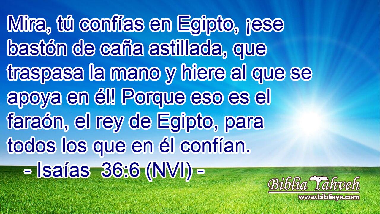 Mira, tú confías en Egipto, ¡ese bastón de caña astillada, que traspasa la mano y hiere al que se apoya en él! Porque eso es el faraón, el rey de Egipto, para todos los que en él confían. 