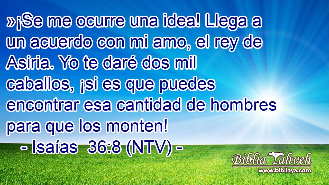 »¡Se me ocurre una idea! Llega a un acuerdo con mi amo, el rey de Asiria. Yo te daré dos mil caballos, ¡si es que puedes encontrar esa cantidad de hombres para que los monten!