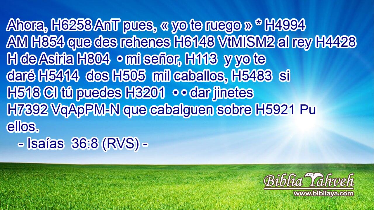 Ahora, H6258 AnT pues, « yo te ruego » * H4994 AM H854 que des rehenes H6148 VtMISM2 al rey H4428 H de Asiria H804  • mi señor, H113  y yo te daré H5414  dos H505  mil caballos, H5483  si H518 CI tú puedes H3201  • • dar jinetes H7392 VqApPM-N que cabalguen sobre H5921 Pu ellos. 