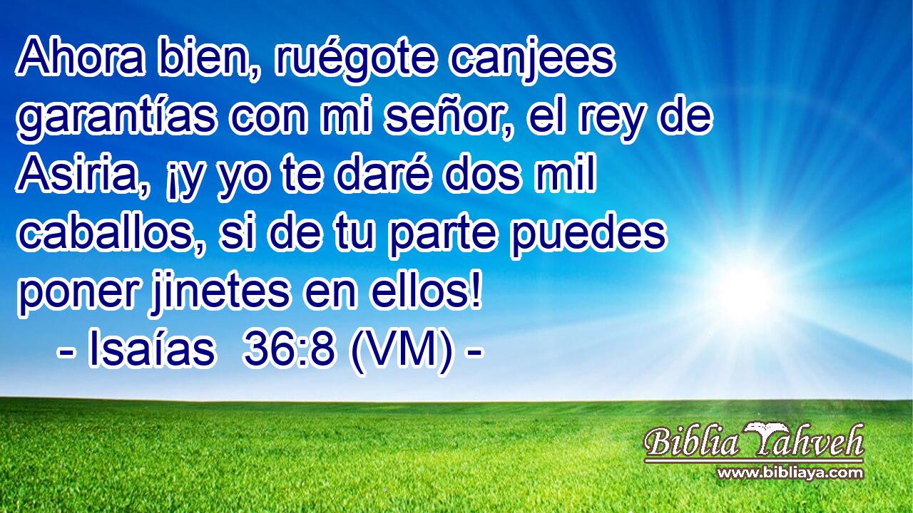  Ahora bien, ruégote canjees garantías con mi señor, el rey de Asiria, ¡y yo te daré dos mil caballos, si de tu parte puedes poner jinetes en ellos! 
