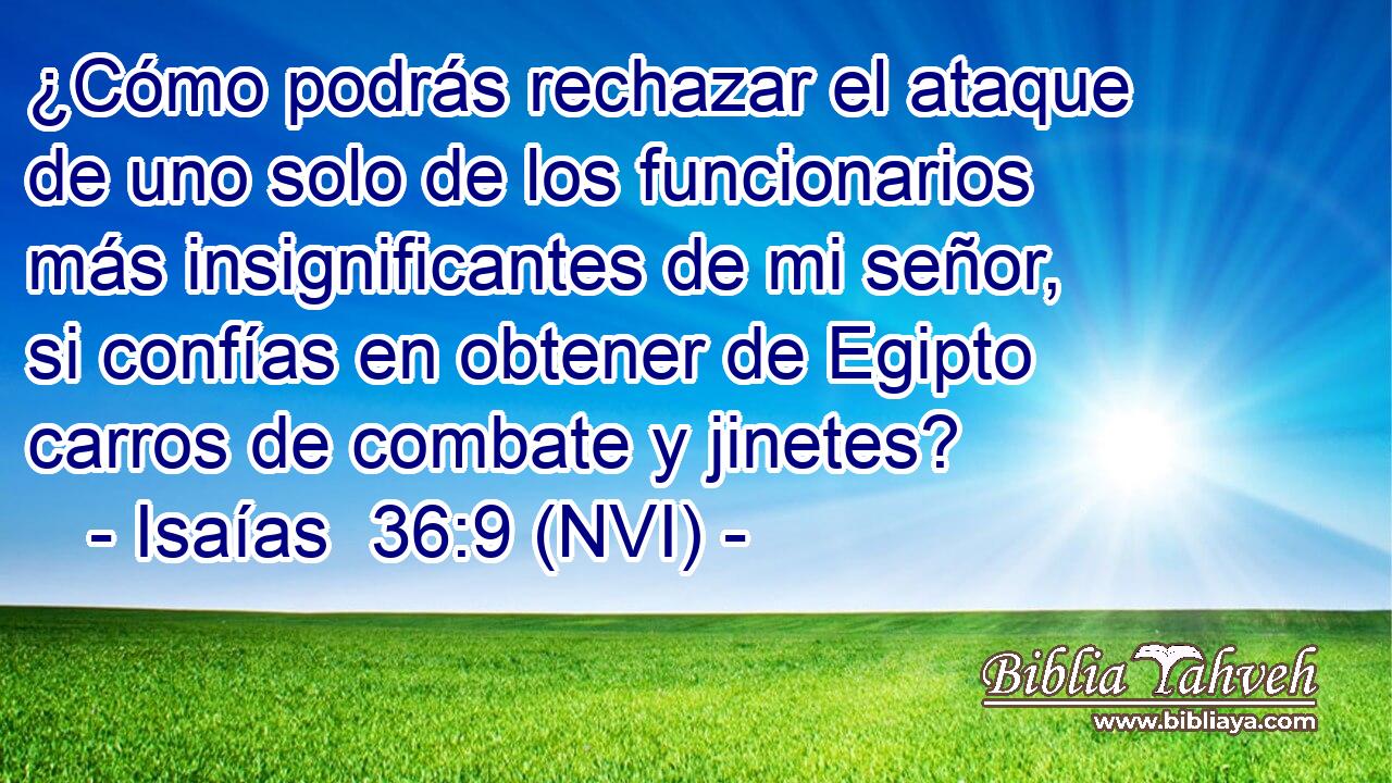  ¿Cómo podrás rechazar el ataque de uno solo de los funcionarios más insignificantes de mi señor, si confías en obtener de Egipto carros de combate y jinetes? 