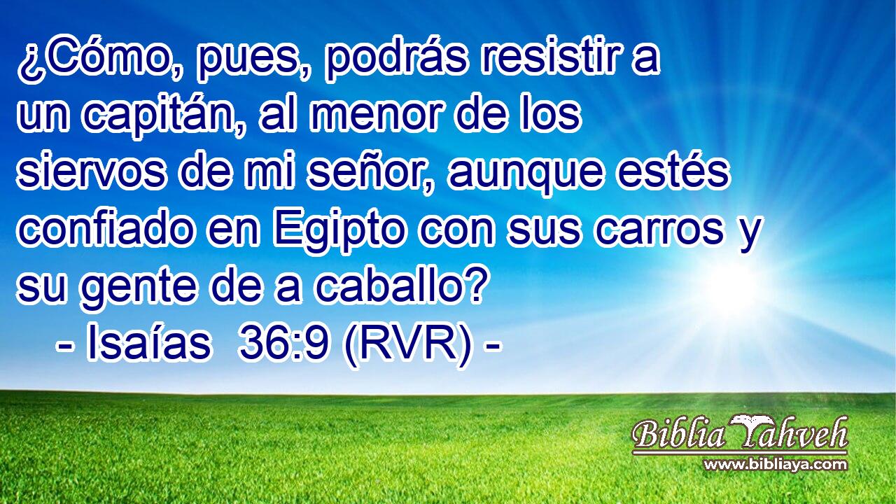 ¿Cómo, pues, podrás resistir a un capitán, al menor de los siervos de mi señor, aunque estés confiado en Egipto con sus carros y su gente de a caballo?
