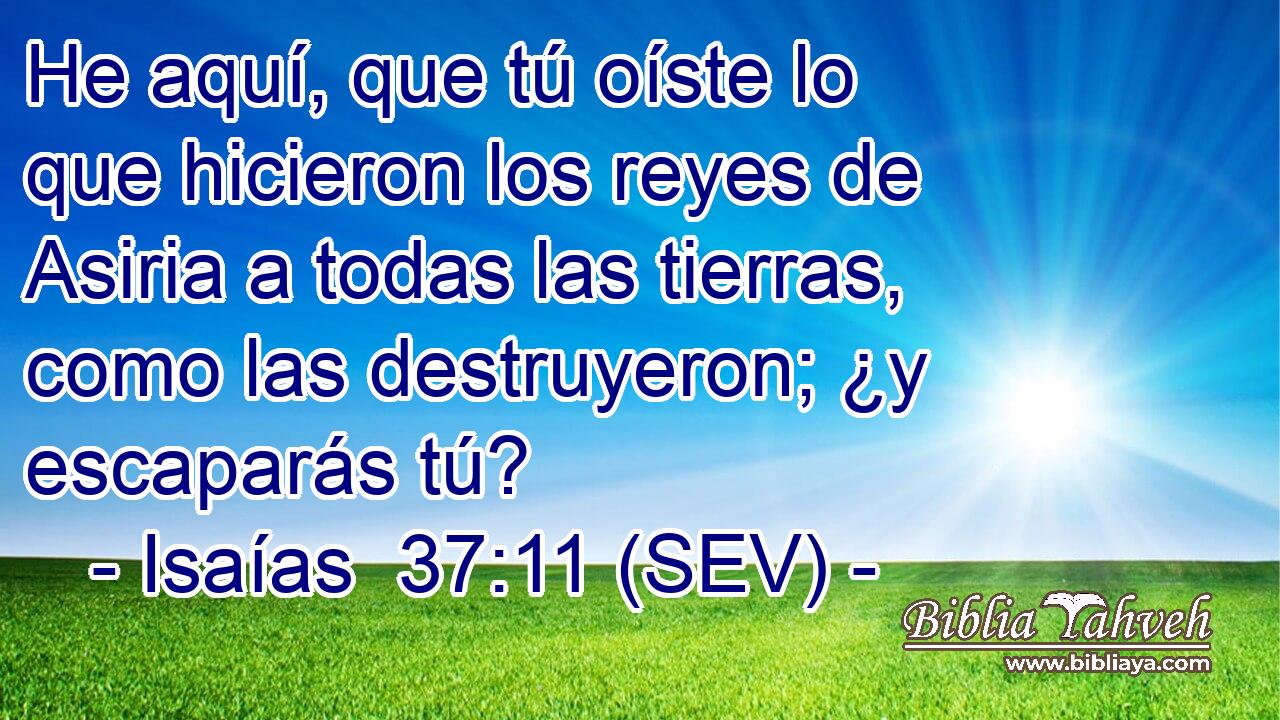 He aquí, que tú oíste lo que hicieron los reyes de Asiria a todas las tierras, como las destruyeron; ¿y escaparás tú?