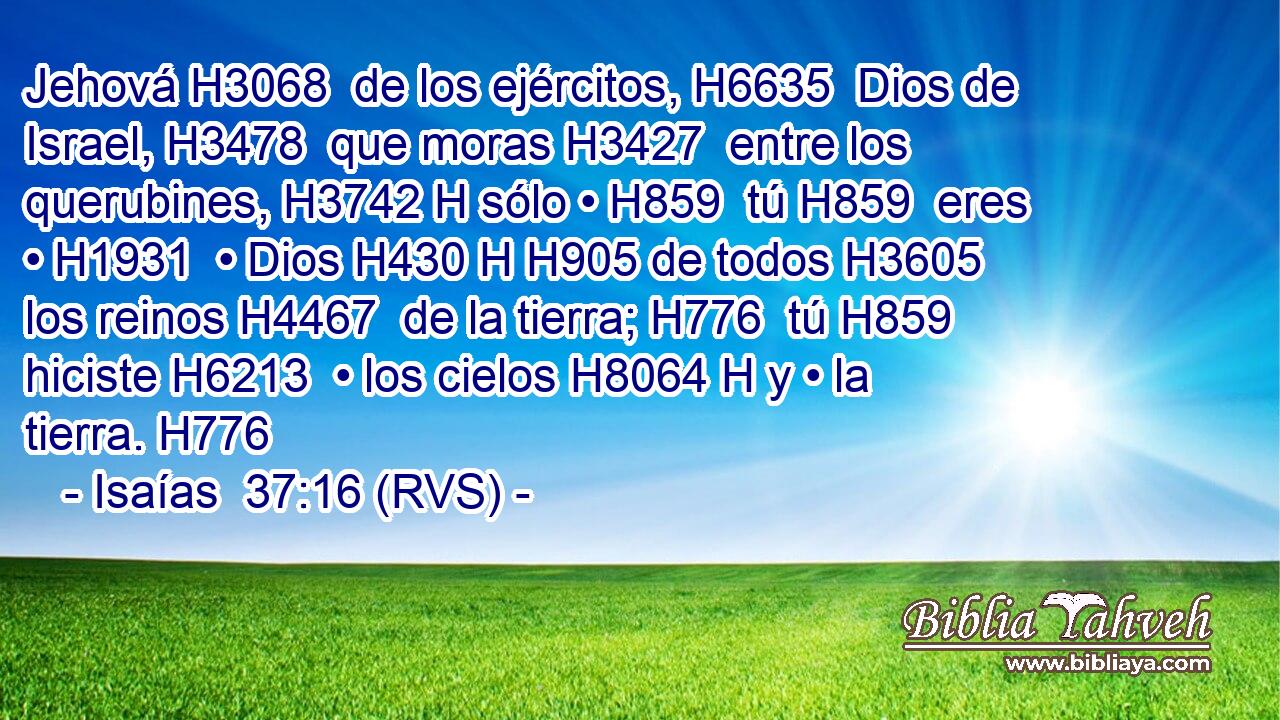 Jehová H3068  de los ejércitos, H6635  Dios de Israel, H3478  que moras H3427  entre los querubines, H3742 H sólo • H859  tú H859  eres • H1931  • Dios H430 H H905 de todos H3605  los reinos H4467  de la tierra; H776  tú H859  hiciste H6213  • los cielos H8064 H y • la tierra. H776  