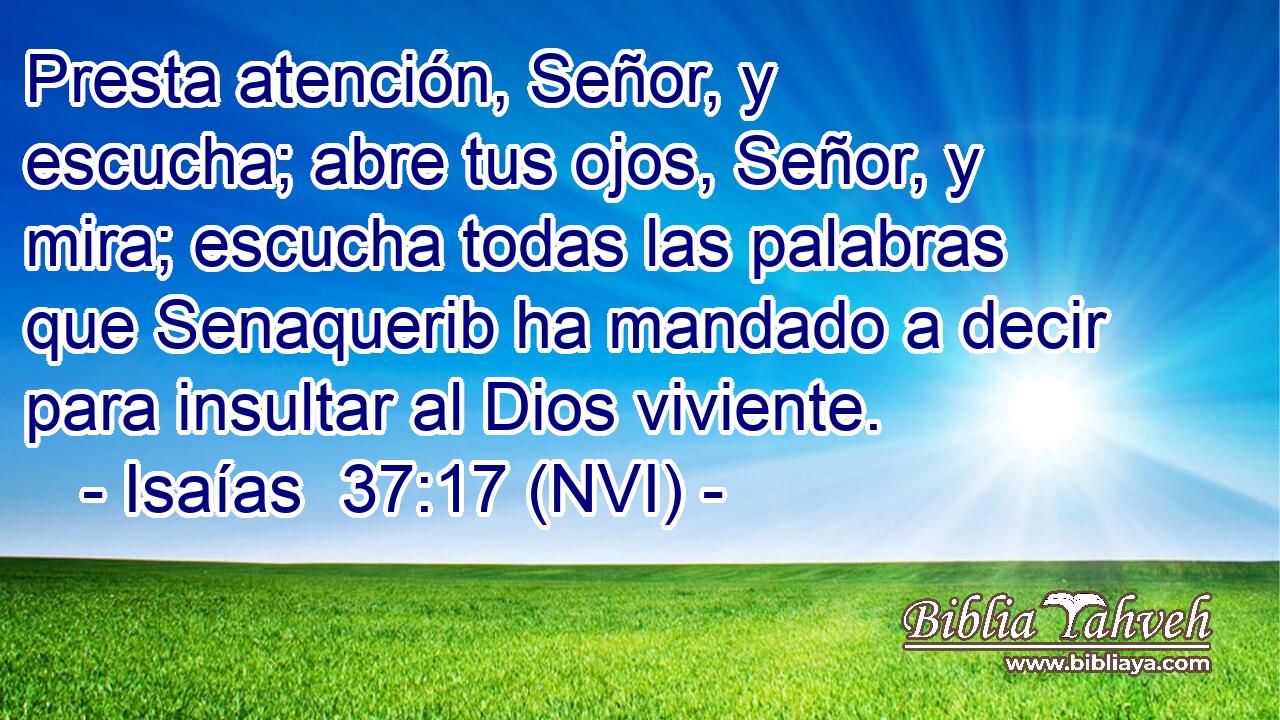  Presta atención, Señor, y escucha; abre tus ojos, Señor, y mira; escucha todas las palabras que Senaquerib ha mandado a decir para insultar al Dios viviente. 