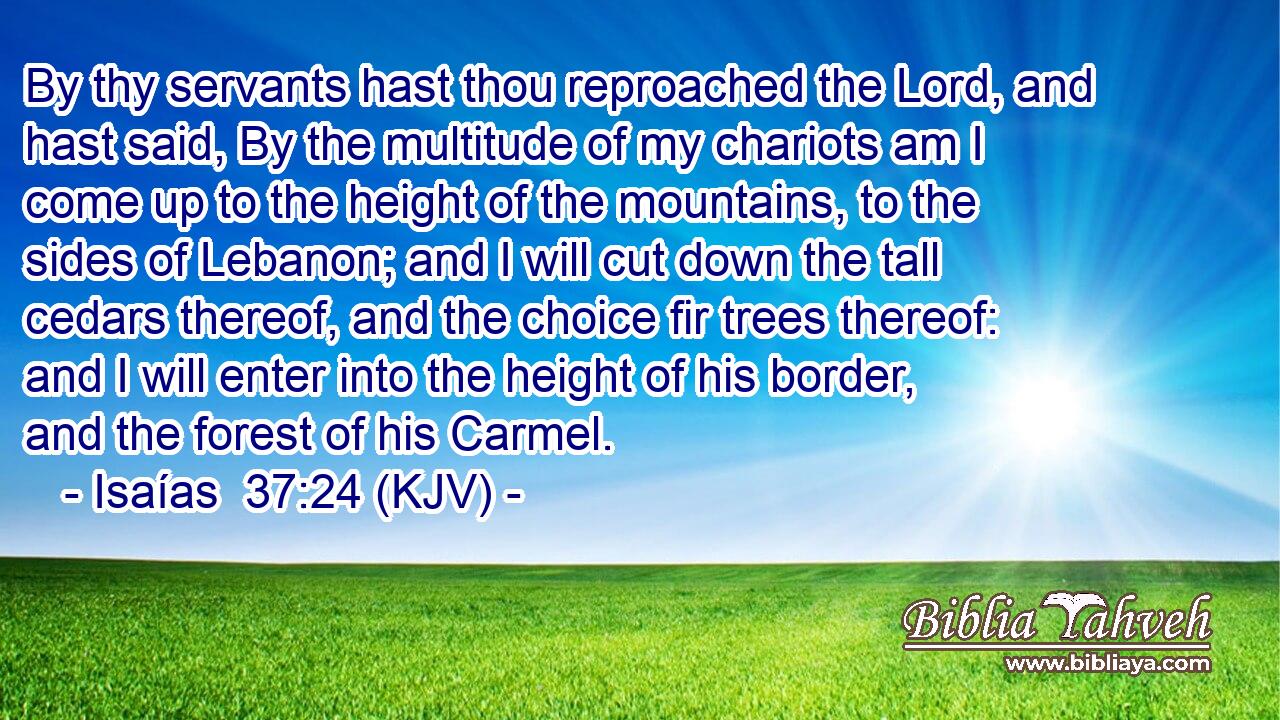 By thy servants hast thou reproached the Lord, and hast said, By the multitude of my chariots am I come up to the height of the mountains, to the sides of Lebanon; and I will cut down the tall cedars thereof, and the choice fir trees thereof: and I will enter into the height of his border, and the forest of his Carmel.