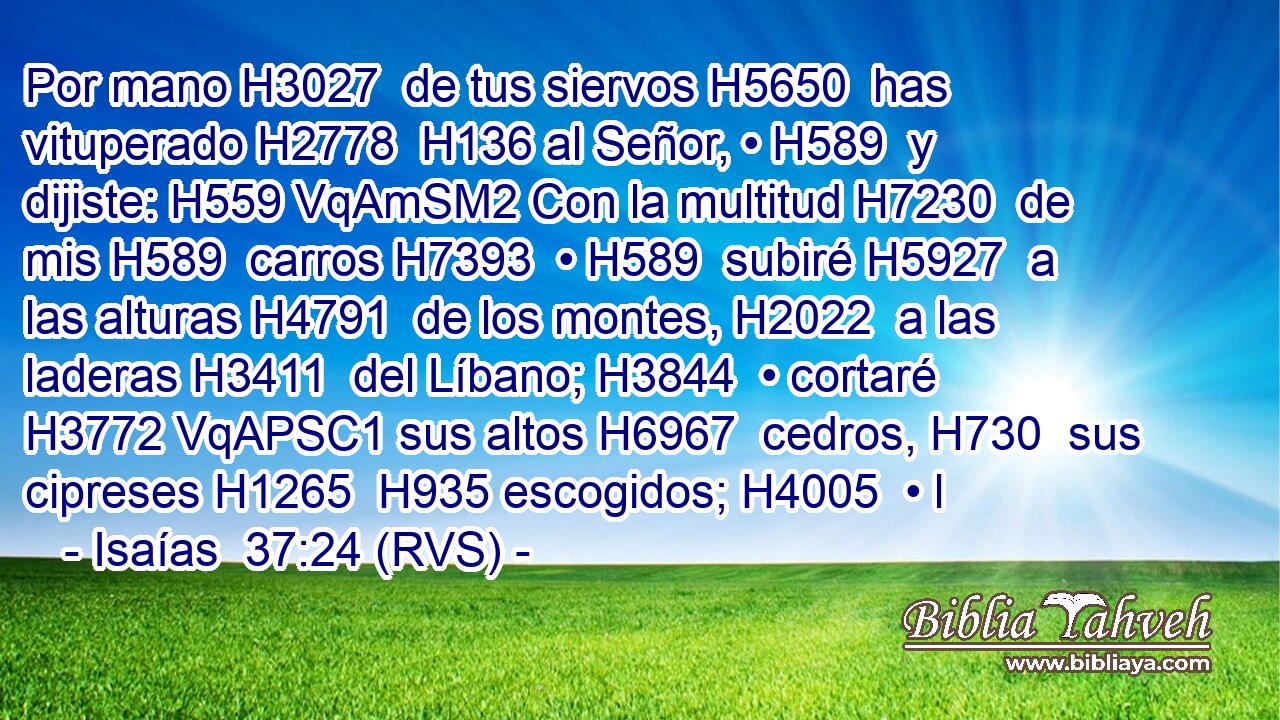 Por mano H3027  de tus siervos H5650  has vituperado H2778  H136 al Señor, • H589  y dijiste: H559 VqAmSM2 Con la multitud H7230  de mis H589  carros H7393  • H589  subiré H5927  a las alturas H4791  de los montes, H2022  a las laderas H3411  del Líbano; H3844  • cortaré H3772 VqAPSC1 sus altos H6967  cedros, H730  sus cipreses H1265  H935 escogidos; H4005  • l