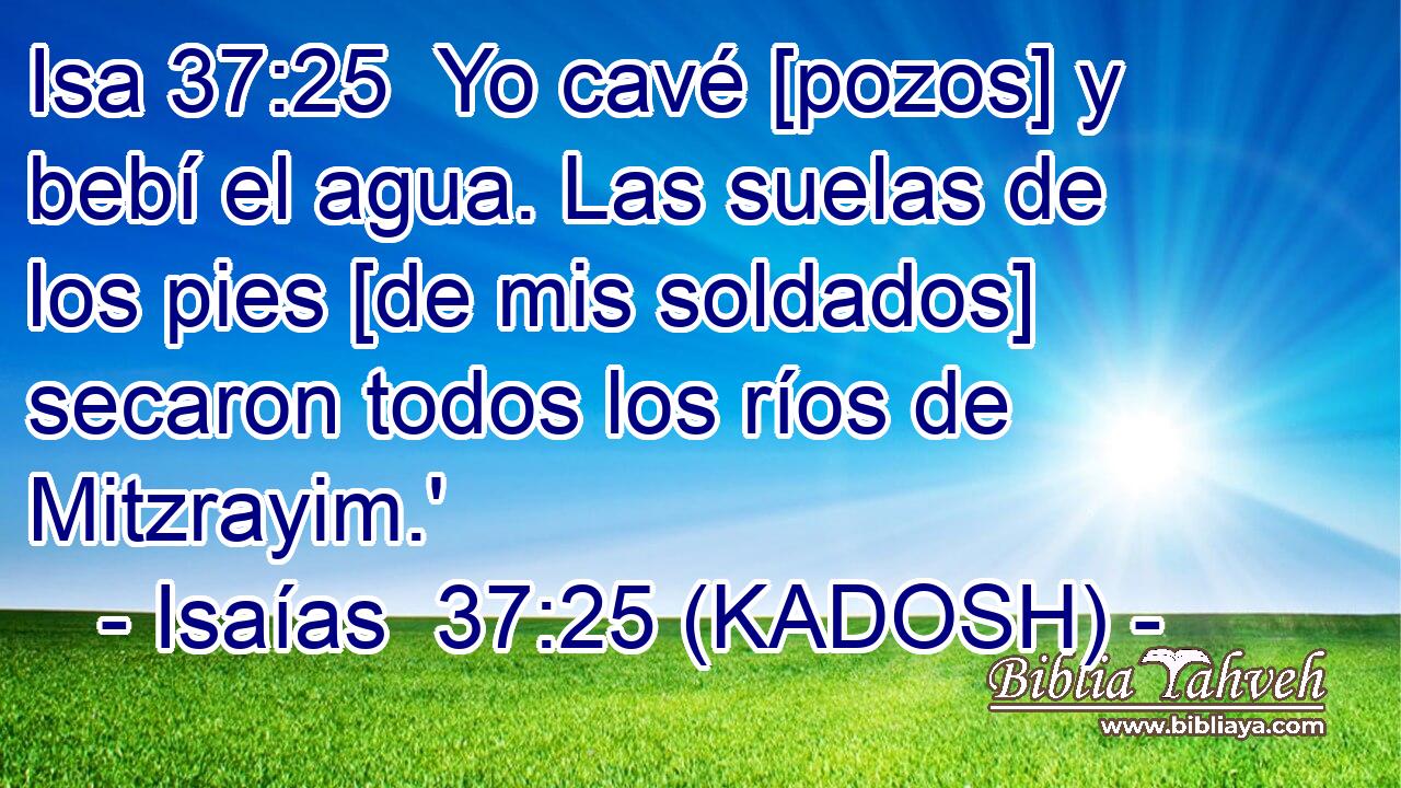  Yo cavé [pozos] y bebí el agua. Las suelas de los pies [de mis soldados] secaron todos los ríos de Mitzrayim.' 