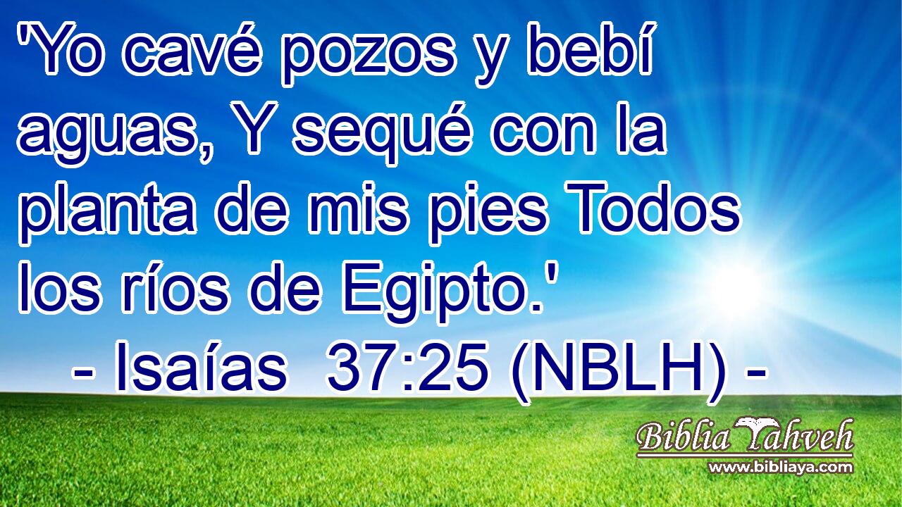  'Yo cavé pozos y bebí aguas, Y sequé con la planta de mis pies Todos los ríos de Egipto.' 