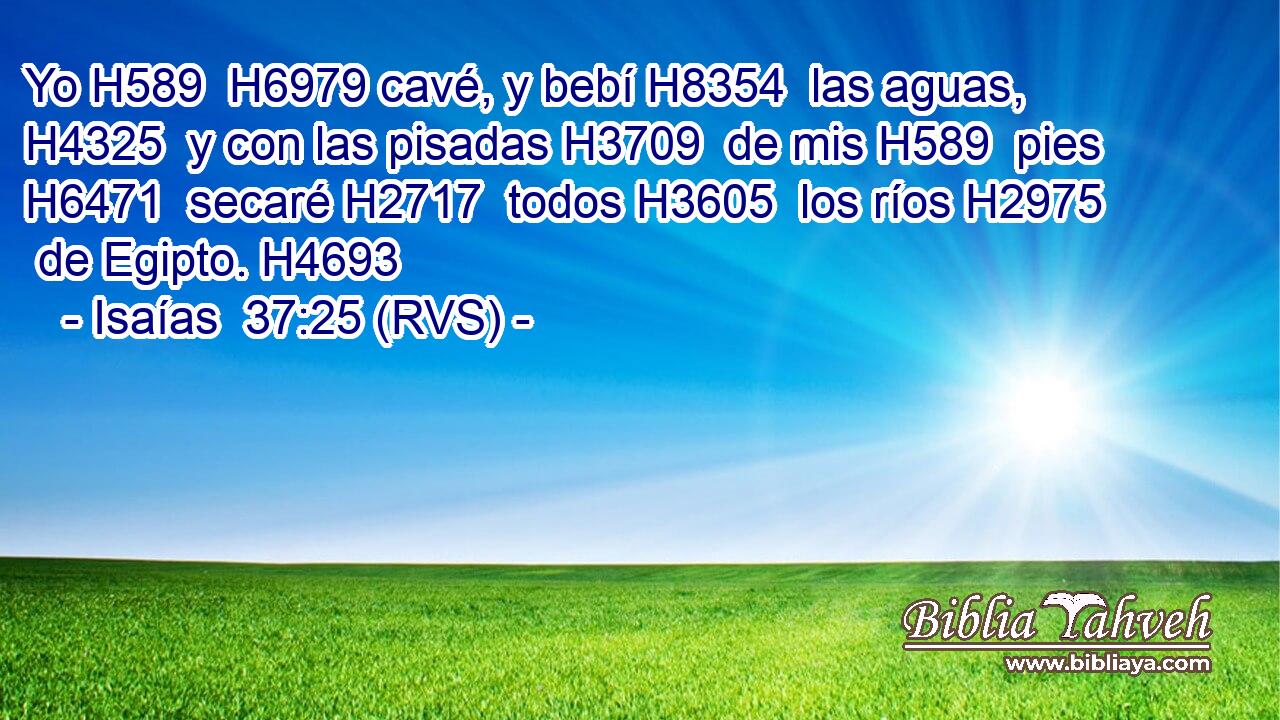 Yo H589  H6979 cavé, y bebí H8354  las aguas, H4325  y con las pisadas H3709  de mis H589  pies H6471  secaré H2717  todos H3605  los ríos H2975  de Egipto. H4693  