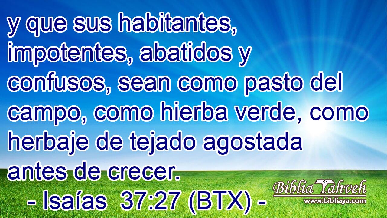 y que sus habitantes, impotentes, abatidos y confusos, sean como pasto del campo, como hierba verde, como herbaje de tejado agostada antes de crecer.