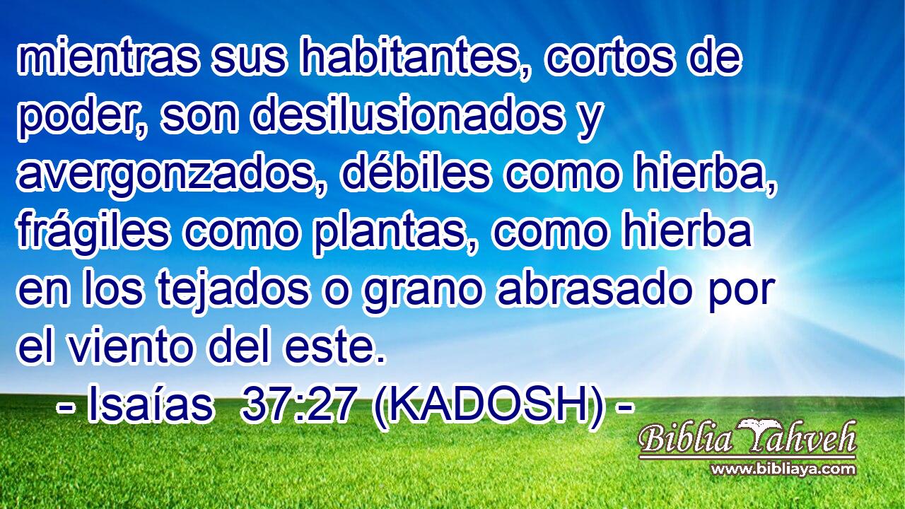 mientras sus habitantes, cortos de poder, son desilusionados y avergonzados, débiles como hierba, frágiles como plantas, como hierba en los tejados o grano abrasado por el viento del este. 