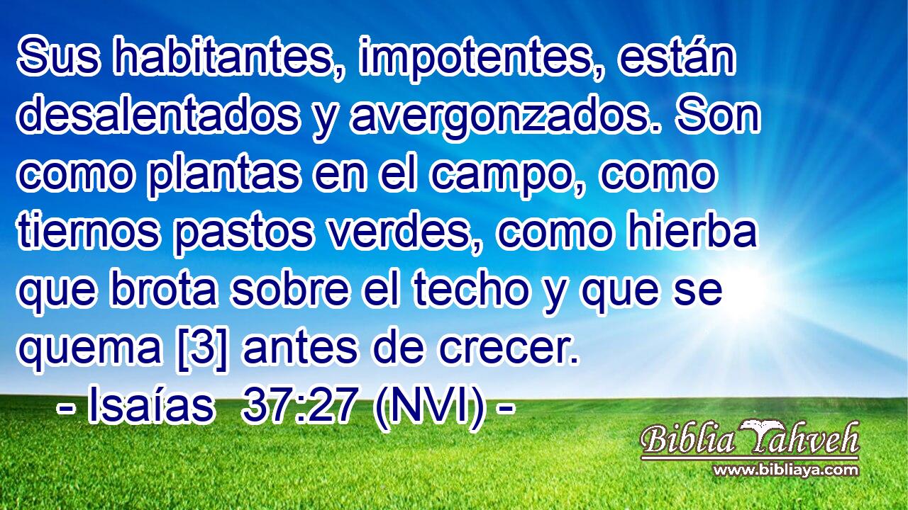 Sus habitantes, impotentes, están desalentados y avergonzados. Son como plantas en el campo, como tiernos pastos verdes, como hierba que brota sobre el techo y que se quema [3] antes de crecer. 
