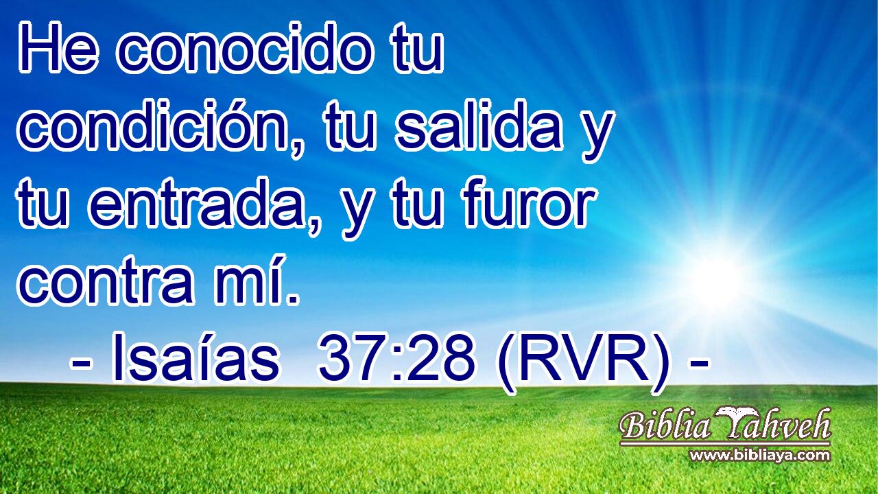 He conocido tu condición, tu salida y tu entrada, y tu furor contra mí.