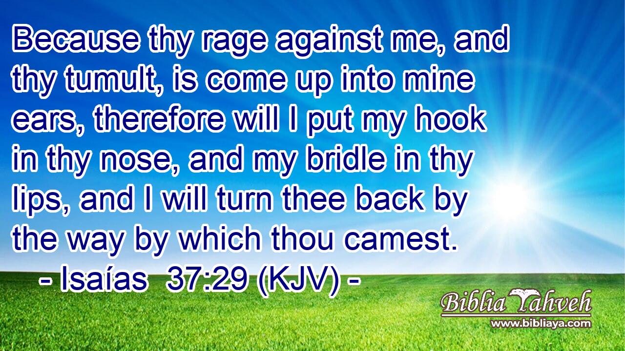 Because thy rage against me, and thy tumult, is come up into mine ears, therefore will I put my hook in thy nose, and my bridle in thy lips, and I will turn thee back by the way by which thou camest.