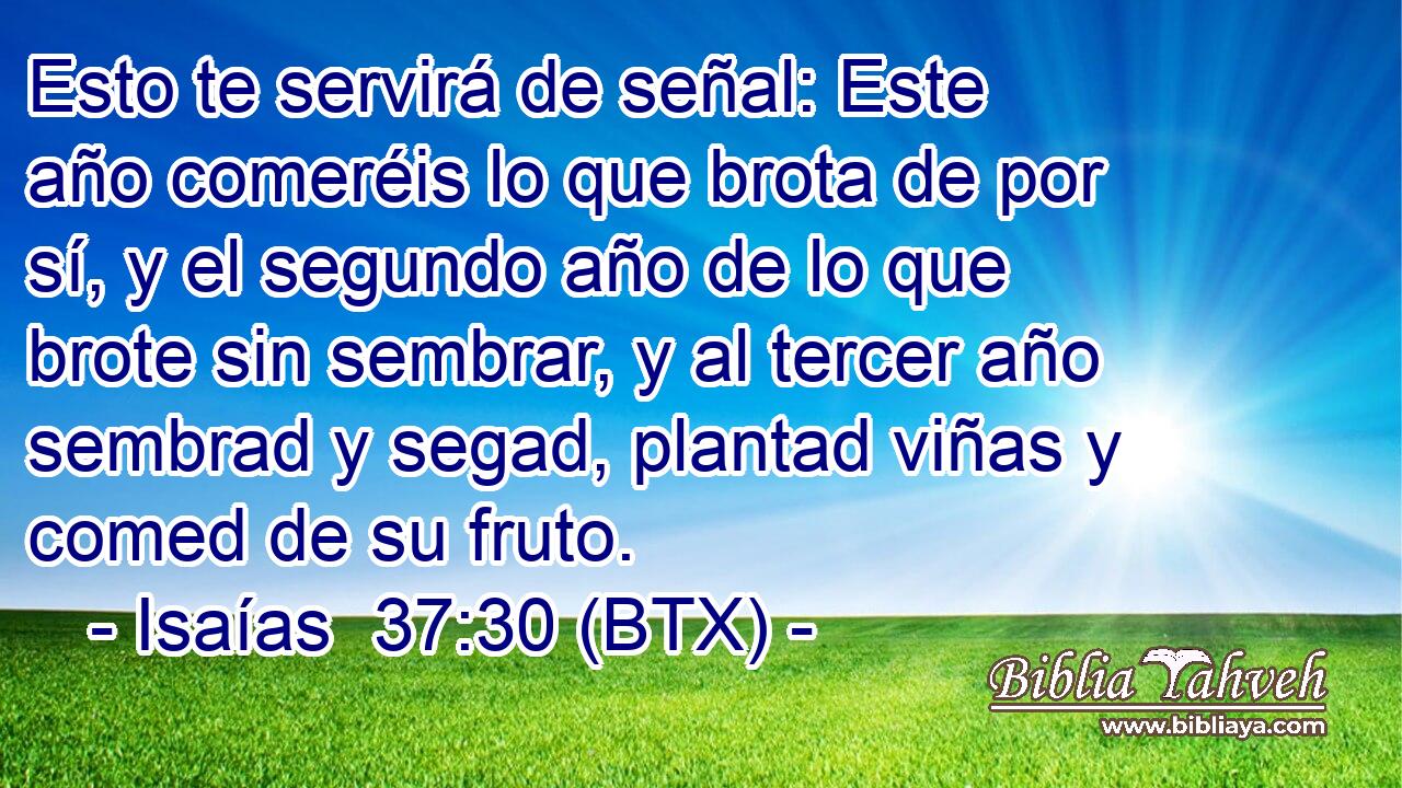 Esto te servirá de señal: Este año comeréis lo que brota de por sí, y el segundo año de lo que brote sin sembrar, y al tercer año sembrad y segad, plantad viñas y comed de su fruto.