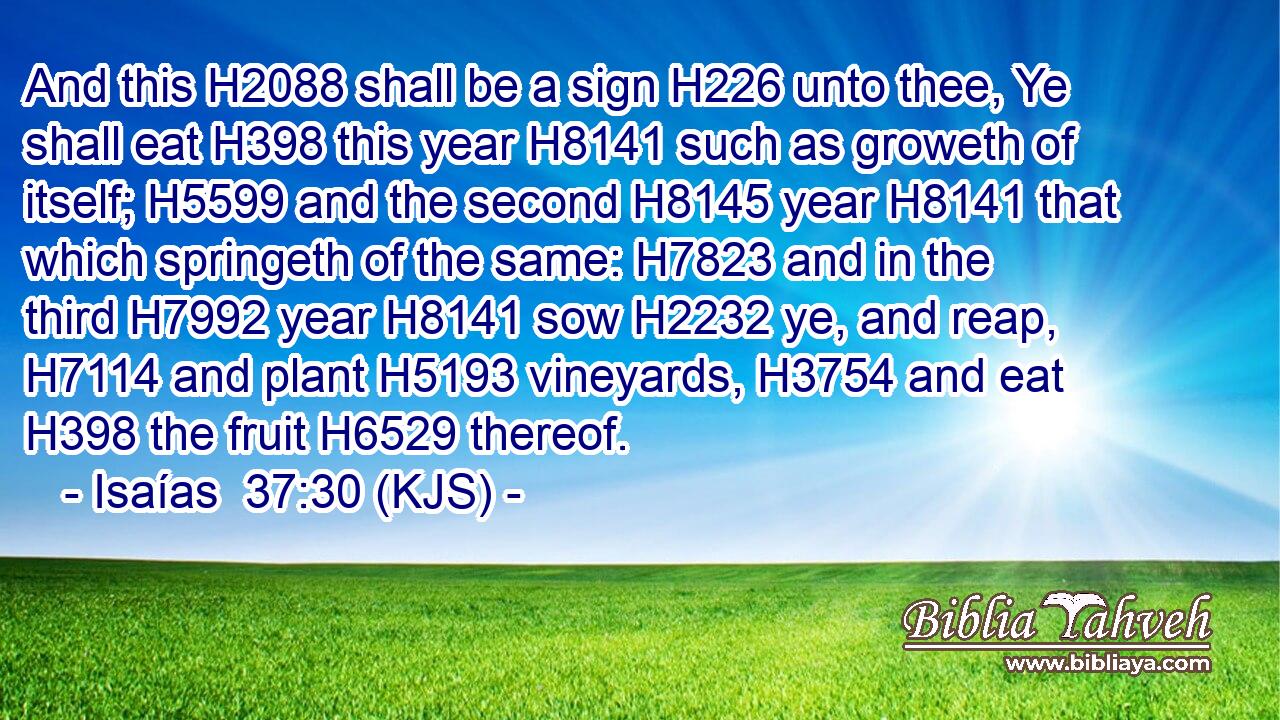 And this H2088 shall be a sign H226 unto thee, Ye shall eat H398 this year H8141 such as groweth of itself; H5599 and the second H8145 year H8141 that which springeth of the same: H7823 and in the third H7992 year H8141 sow H2232 ye, and reap, H7114 and plant H5193 vineyards, H3754 and eat H398 the fruit H6529 thereof.